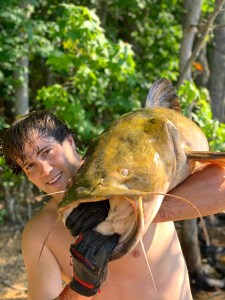 Man holding large catfish in green foliage